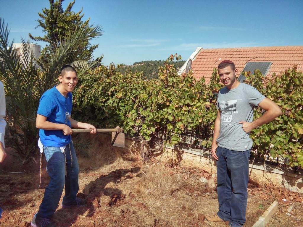 Activites around Shalvat Haim - Gardening