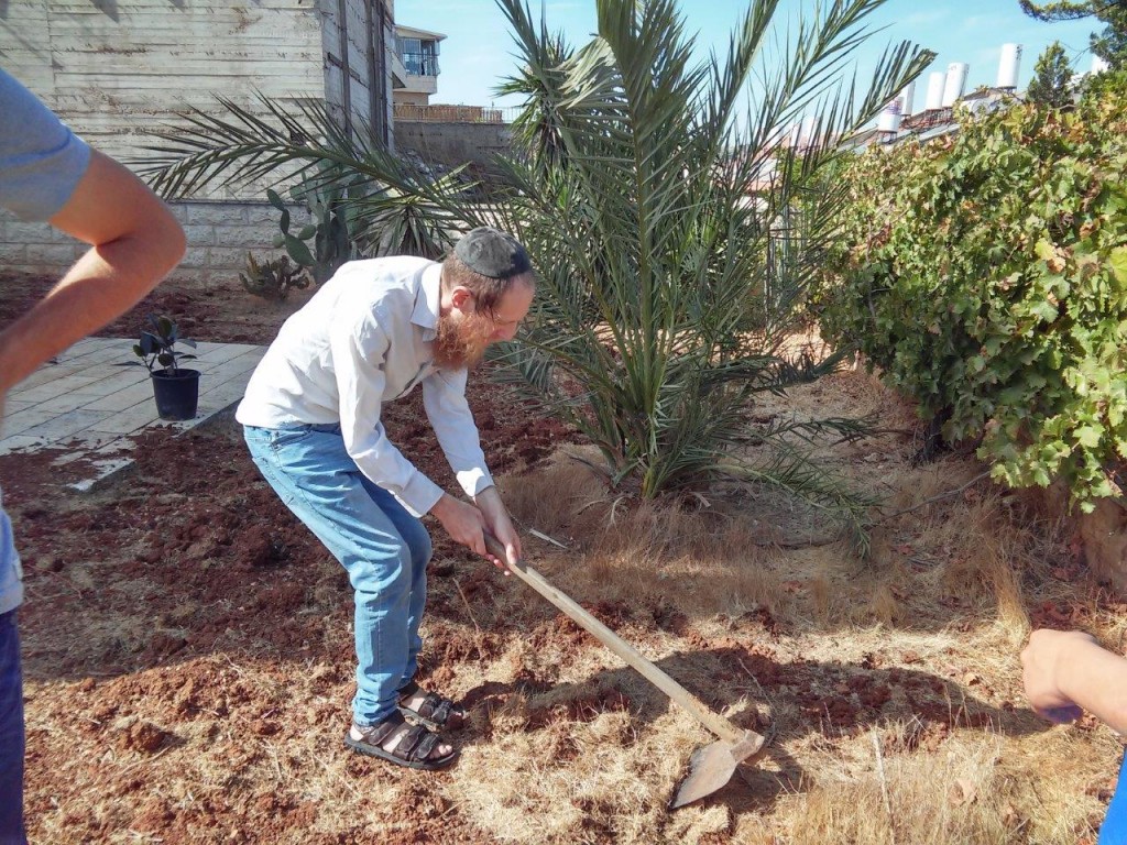 Activites around Shalvat Haim - Gardening